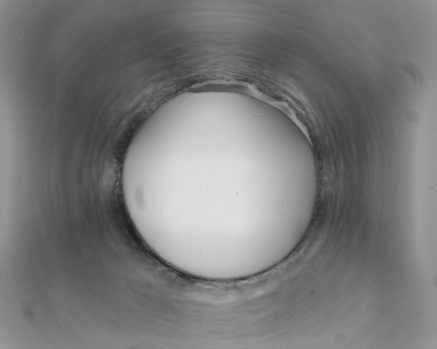 X0000111890029200908131705