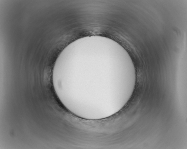 X0000111890030200908131705