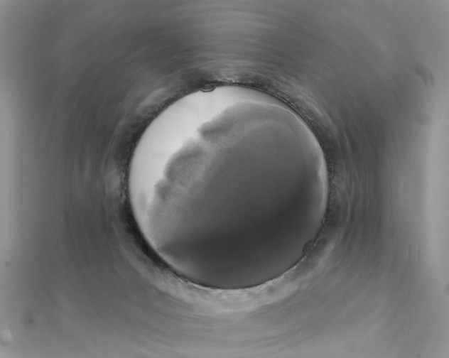 X0000111890031200908131705