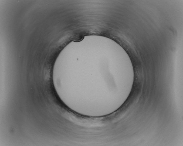 X0000111890032200908131705