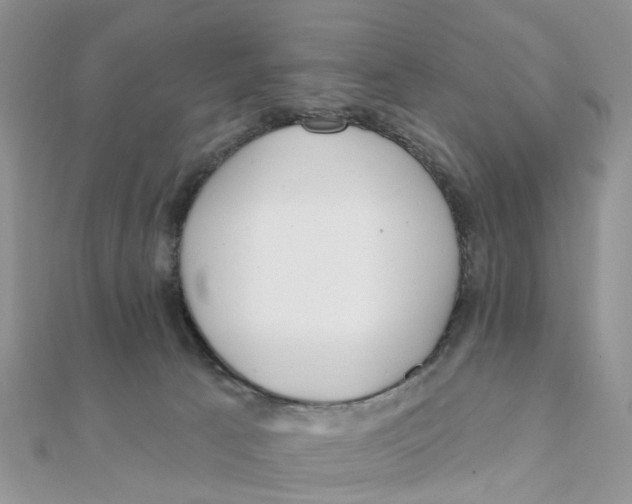 X0000111890033200908131705