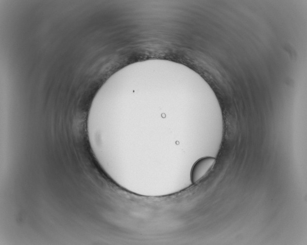 X0000111890034200908131705