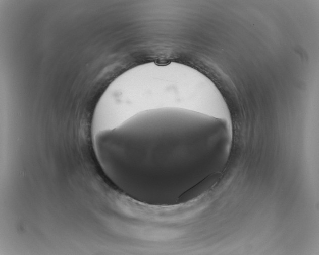 X0000111890035200908131705