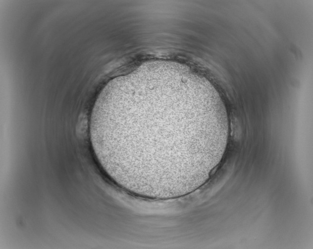 X0000111890036200908131705