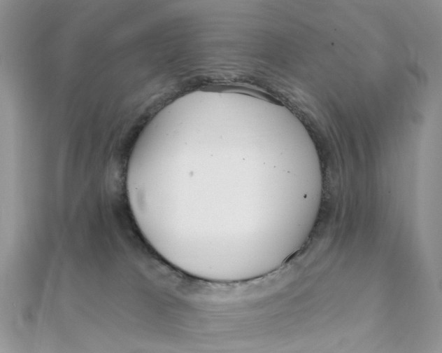 X0000111890037200908131705