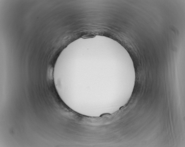 X0000111890041200908131705