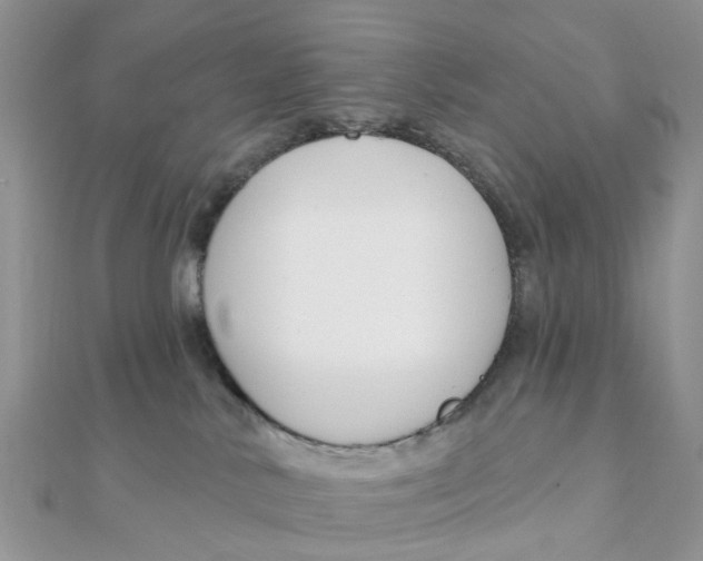 X0000111890042200908131705