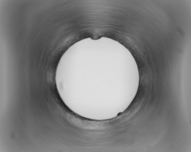 X0000111890044200908131705