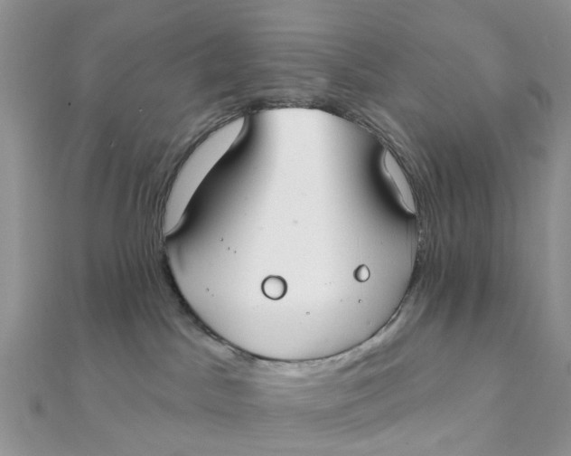 X0000111890045200908131705