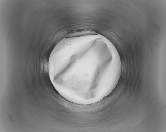 X0000111890046200908131705