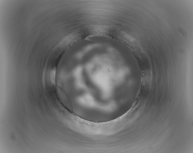 X0000111890047200908131705