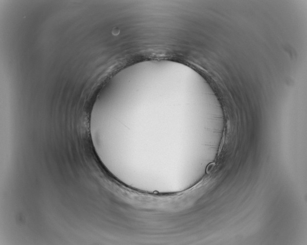 X0000111890048200908131705