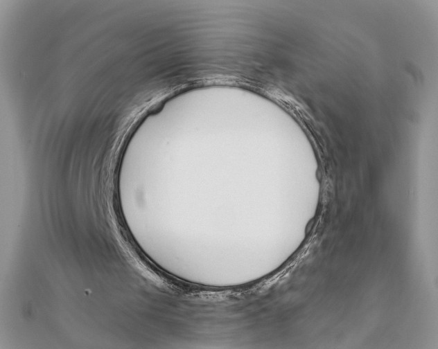 X0000111890049200908131704