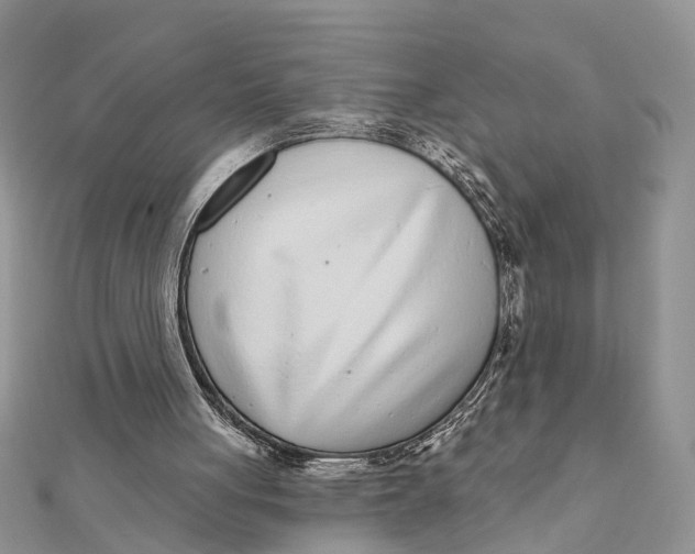 X0000111890051200908131704