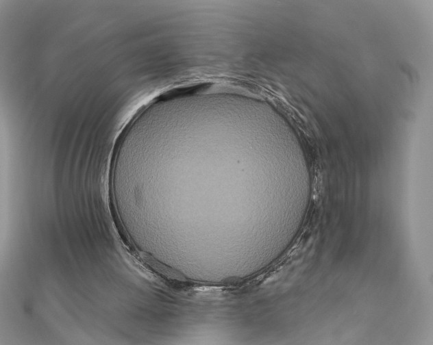 X0000111890052200908131704