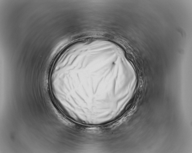 X0000111890053200908131704