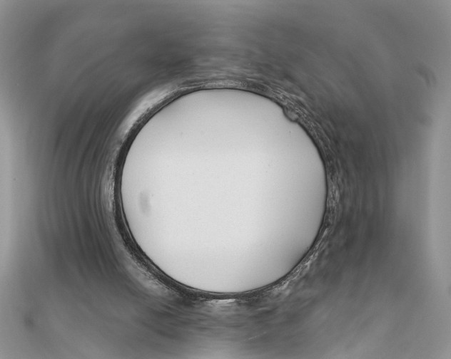 X0000111890054200908131704