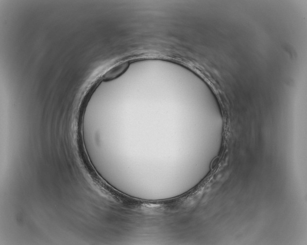 X0000111890055200908131704