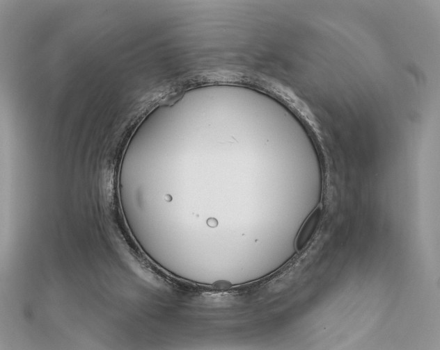 X0000111890057200908131704