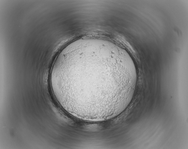 X0000111890058200908131704