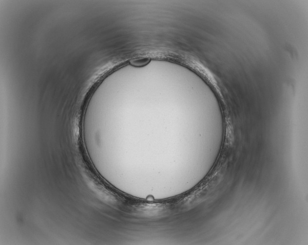 X0000111890059200908131704