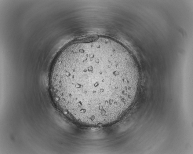 X0000111890060200908131704