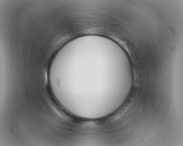 X0000111890061200908131704