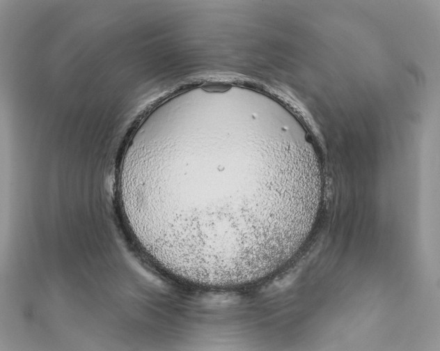 X0000111890063200908131704