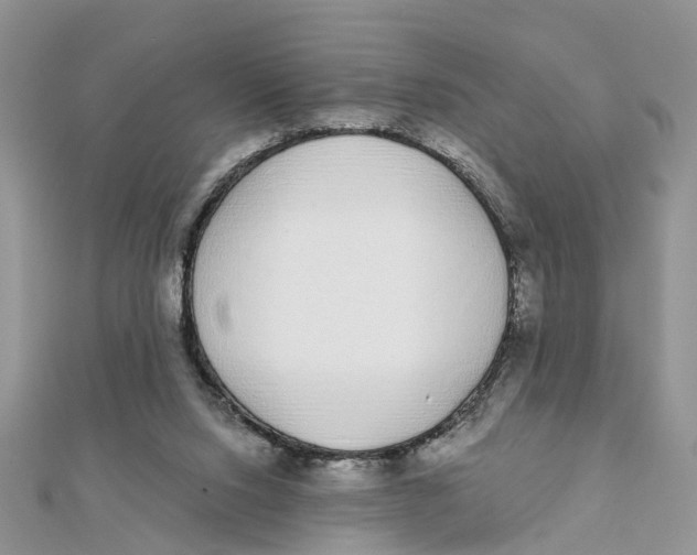 X0000111890064200908131704