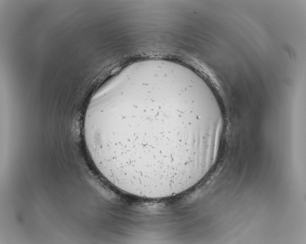 X0000111890065200908131704