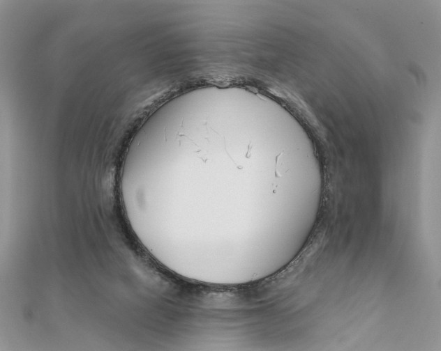 X0000111890066200908131704