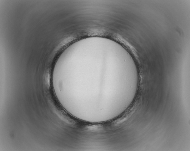 X0000111890067200908131704