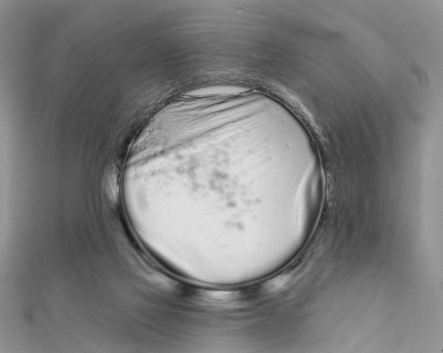 X0000111890069200908131704