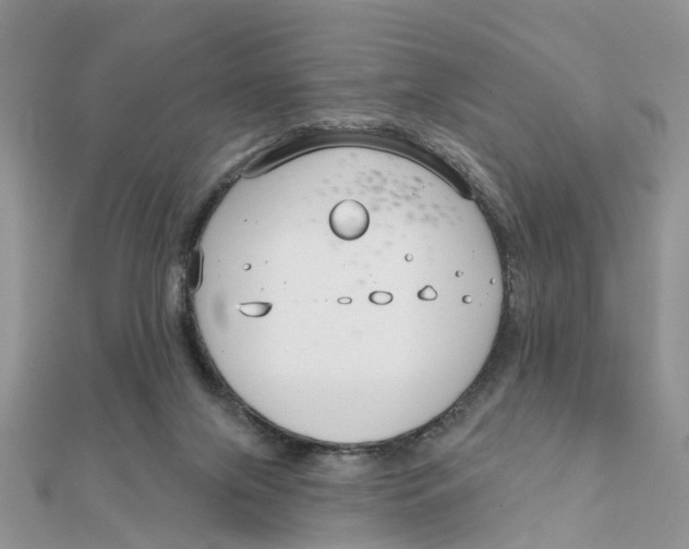 X0000111890071200908131704