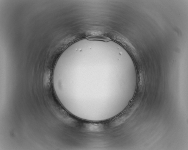 X0000111890073200908131704