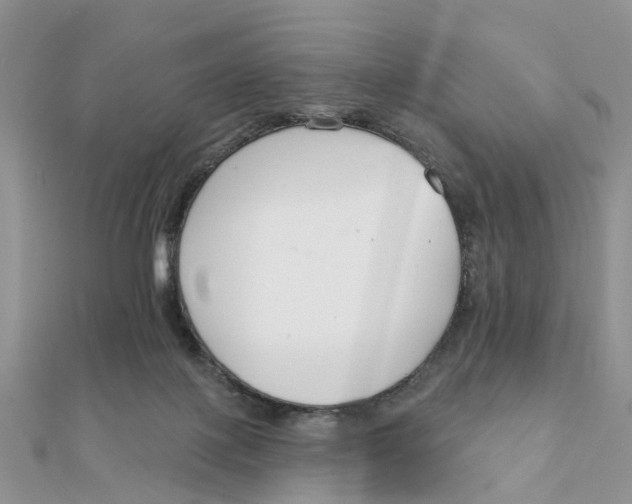 X0000111890075200908131704