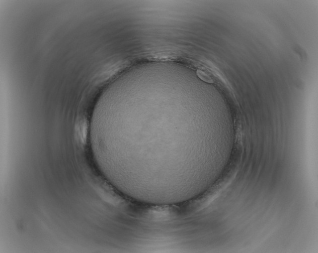 X0000111890076200908131704