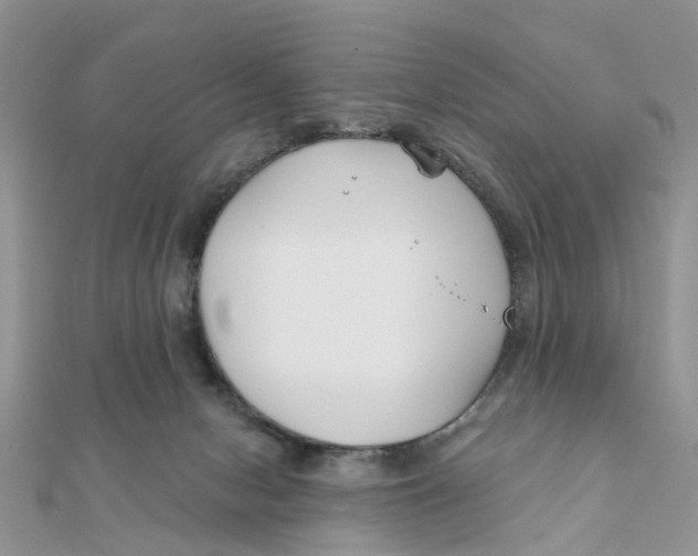 X0000111890078200908131704