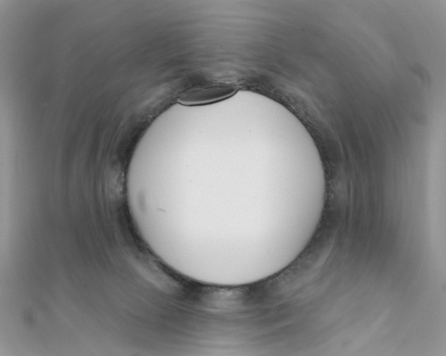 X0000111890081200908131704