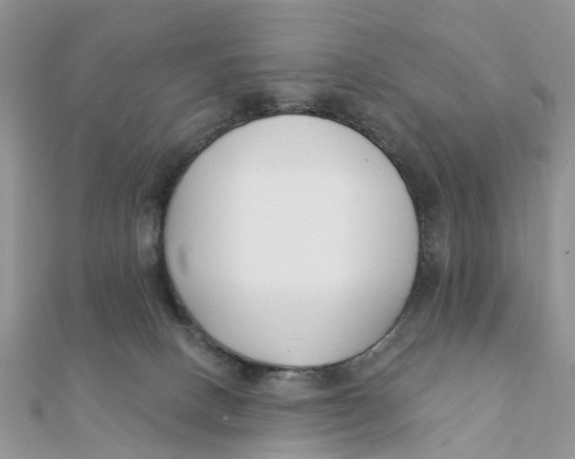 X0000111890082200908131704