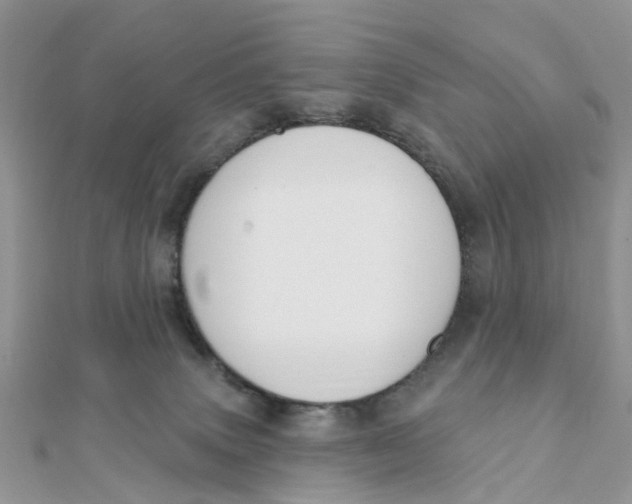 X0000111890083200908131704