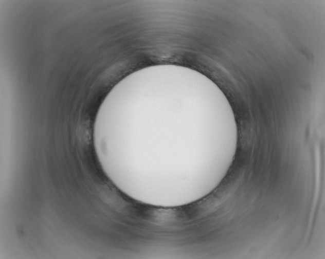 X0000111890085200908131705