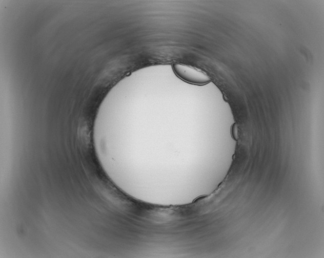 X0000111890086200908131705