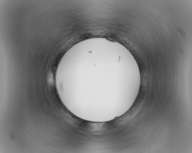 X0000111890089200908131705