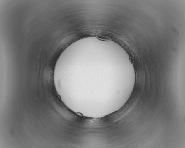 X0000111890092200908131705