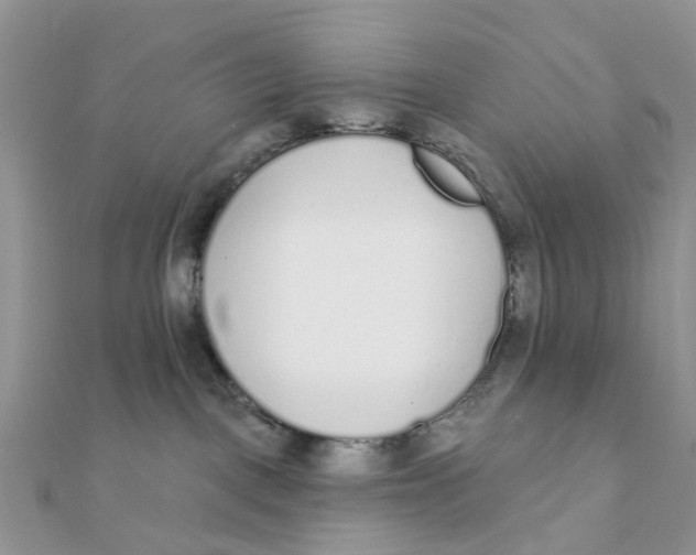 X0000111890093200908131705