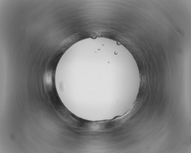 X0000111890094200908131705