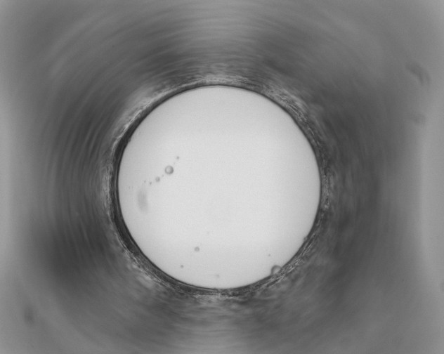 X0000111890098200908131704