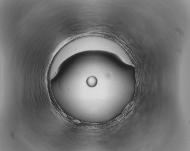 X0000111890100200908131704