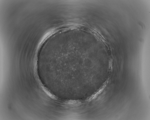 X0000111890101200908131704